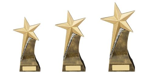 Resin Star Award Trophy RM722